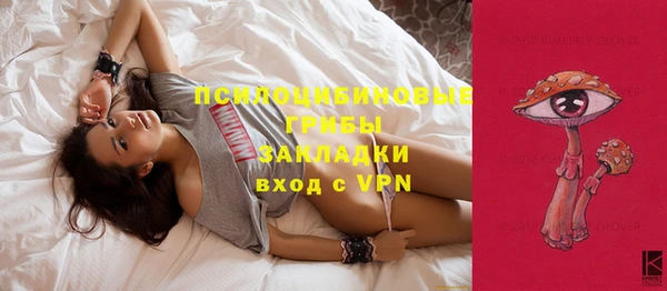 стаф Вязьма