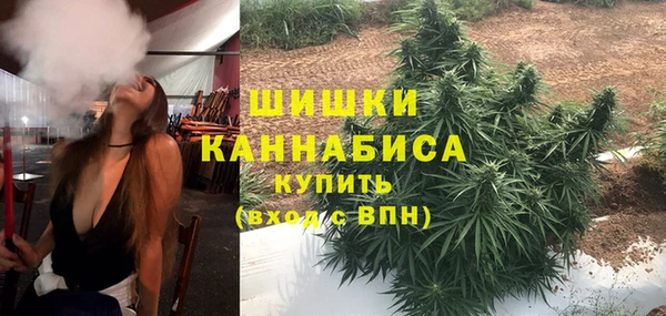 скорость Вяземский