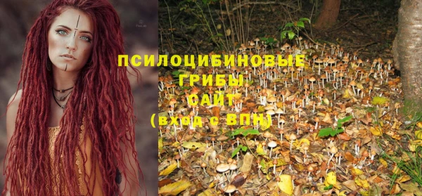 скорость Вяземский
