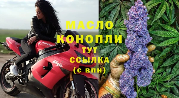 стаф Вязьма