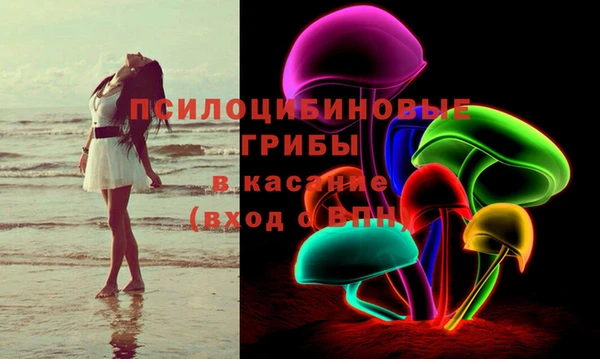 стаф Вязьма