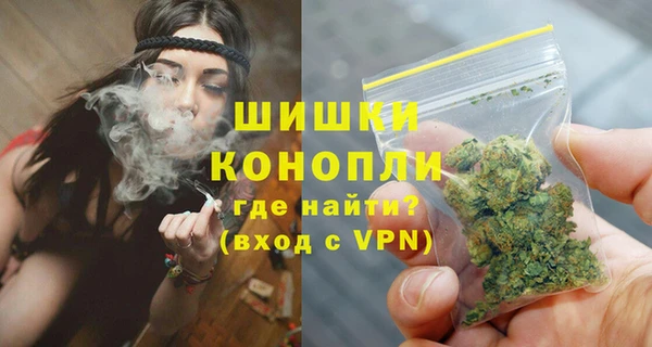 стаф Вязьма