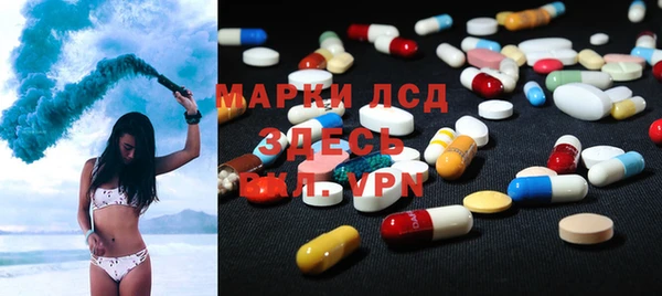 стаф Вязьма