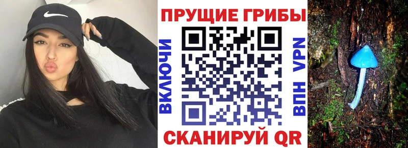 Псилоцибиновые грибы MAGIC MUSHROOMS  Каменск-Шахтинский 